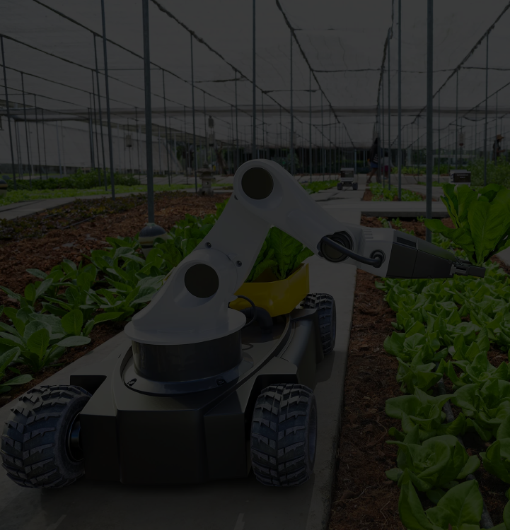 产品升级和创新