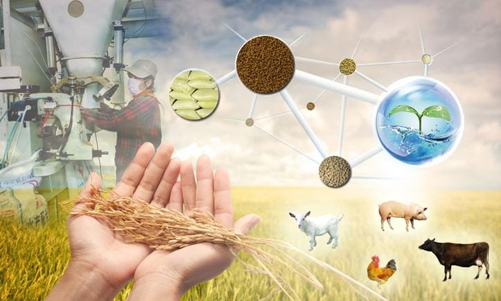 Revitalizing Production for a Zambian Enterprise 