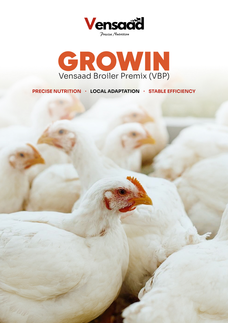 屏幕截图 2026-02-06 134433.png